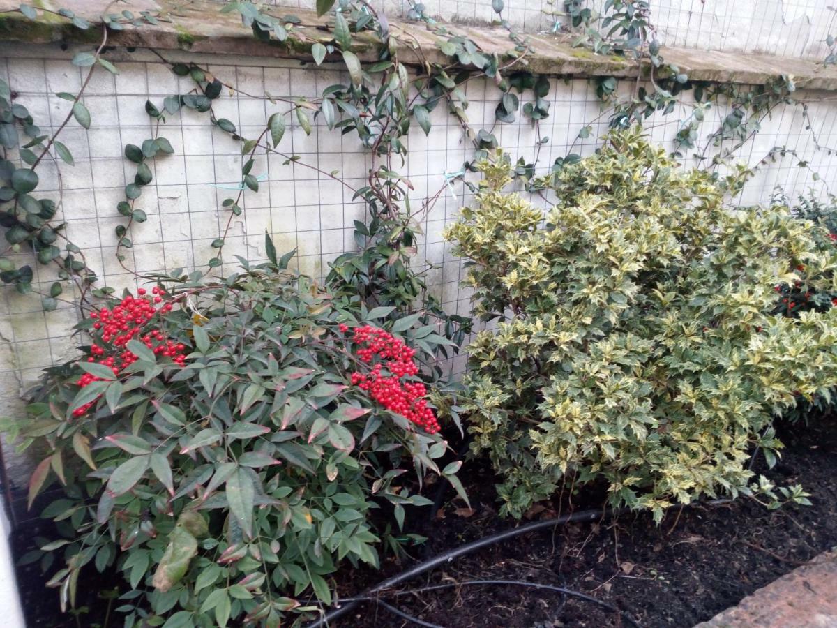 B&B Palazzo Bianchi 파르마 외부 사진